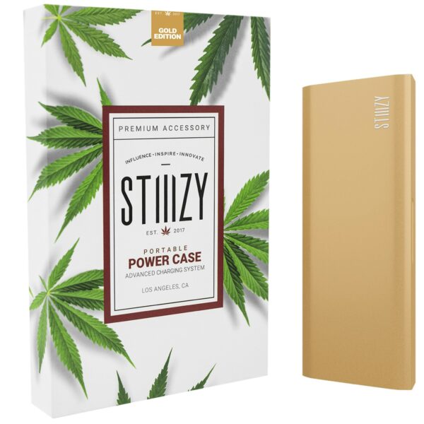 GOLD PORTABLE POWER CASE