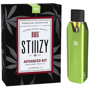 STIIIZY BIIIG Starter Kit - Green